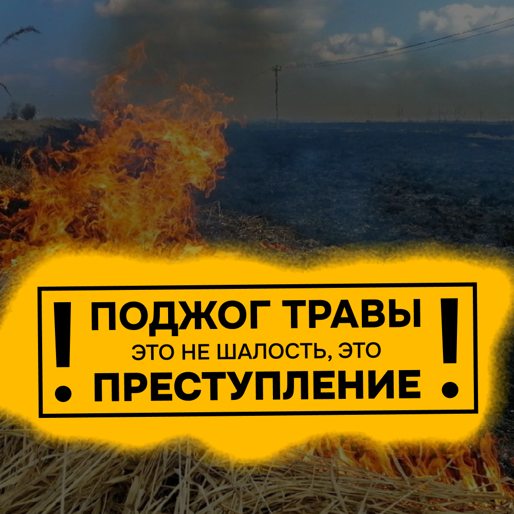 1744260381748.png