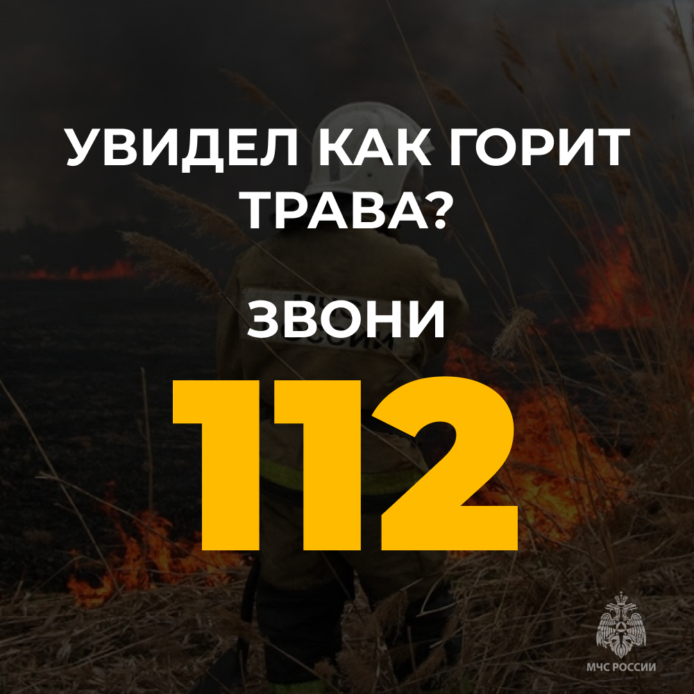 1744260381695.png