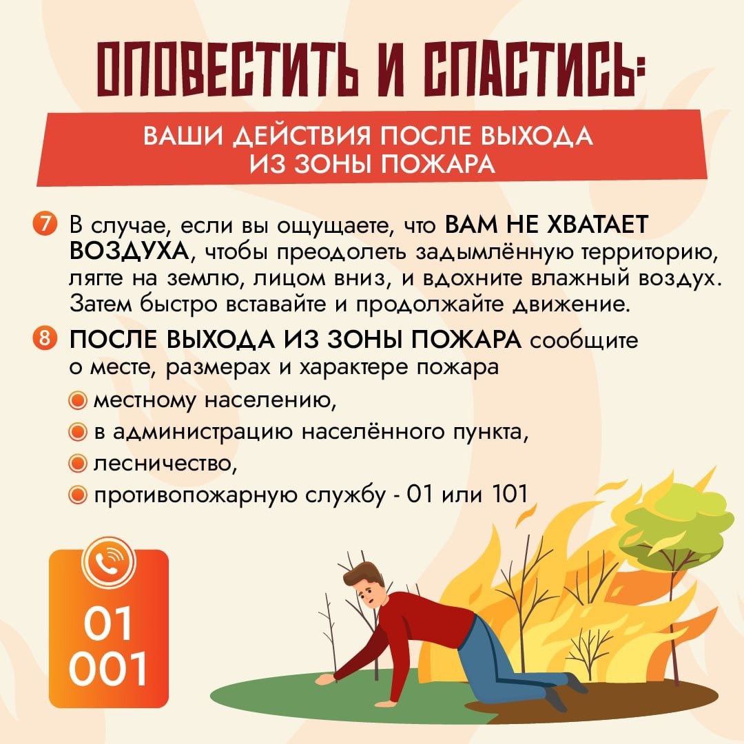 1747802618212.jpg
